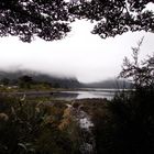 Milford Sound im Nebel