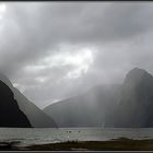 Milford Sound im Regen