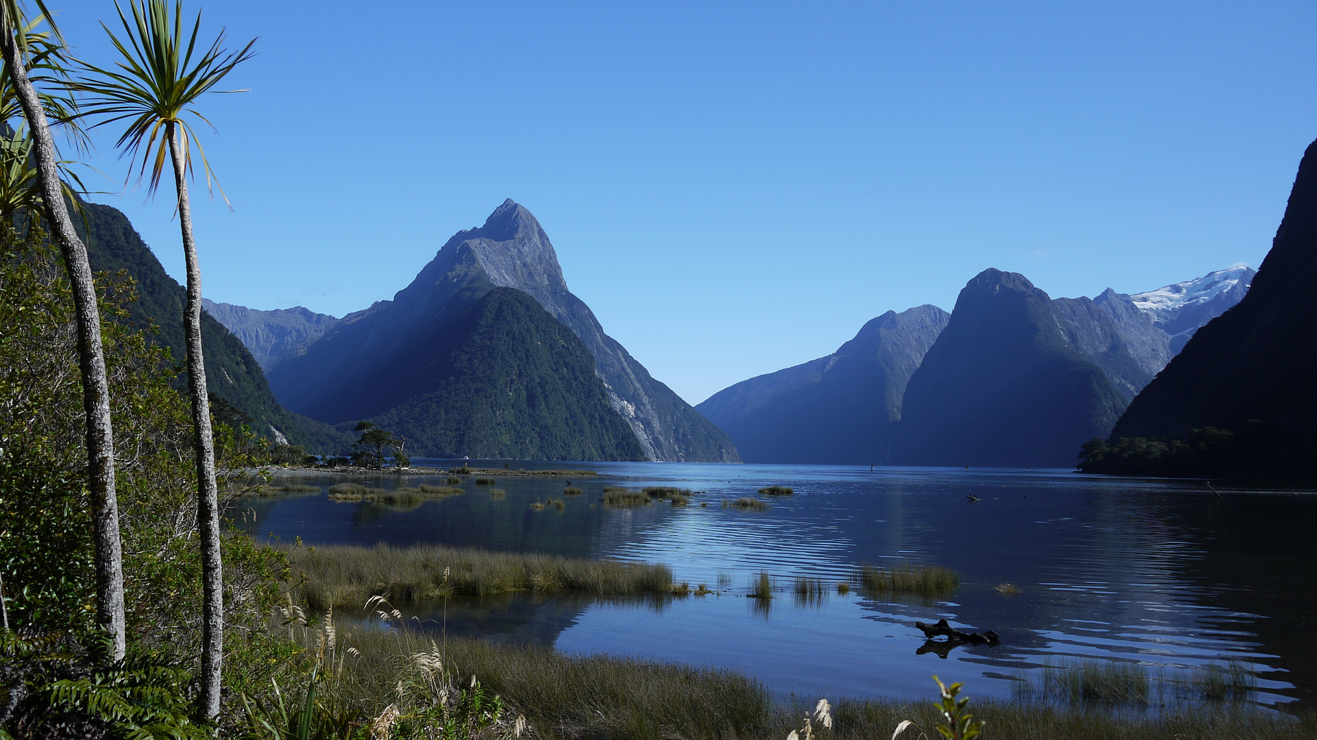 Milford Sound, immer wieder schön!