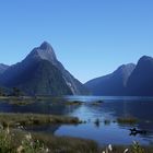 Milford Sound, immer wieder schön!