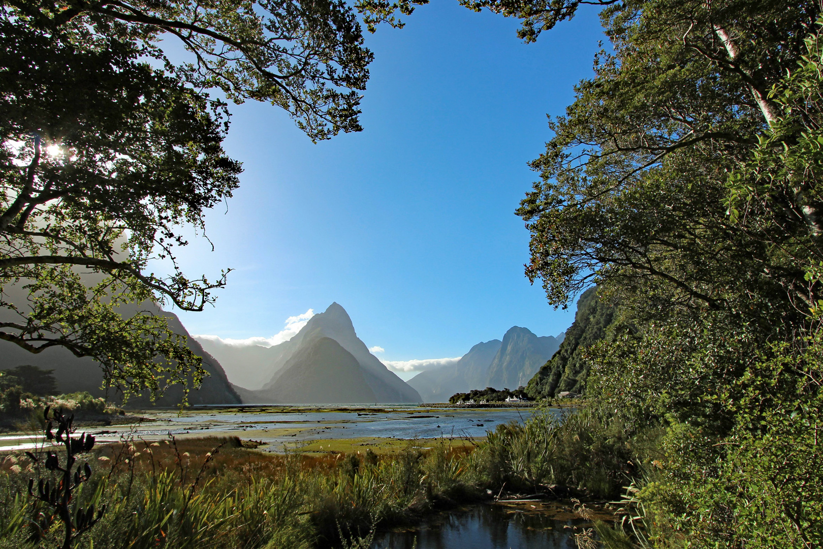 Milford Sound in der Abendstille