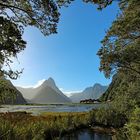 Milford Sound in der Abendstille