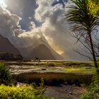 Milford Sound Neuseeland