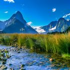 Milford Sound Neuseeland