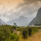 Milford-Sound Neuseeland