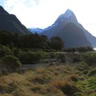 Milford Sound - New Zealand