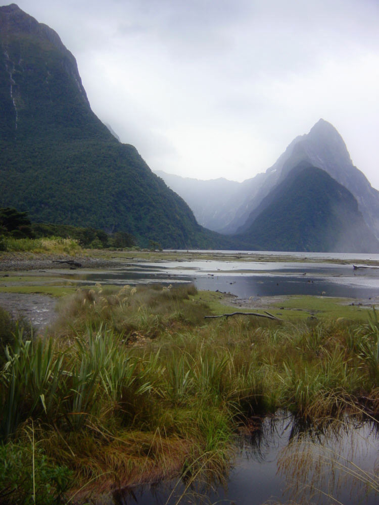 Milford Sound, New Zealand