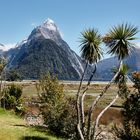 Milford Sound, Teil 3