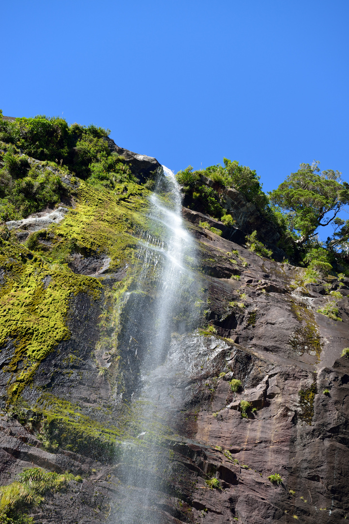 Milford Sound: Wasserfall 