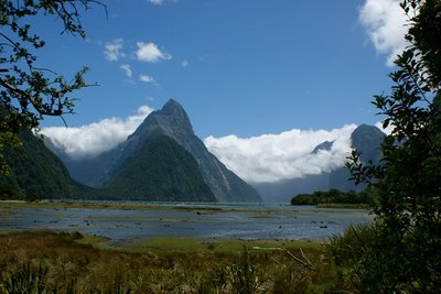 Milford Sounds