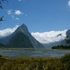 Milford Sounds