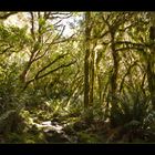 Milford Track