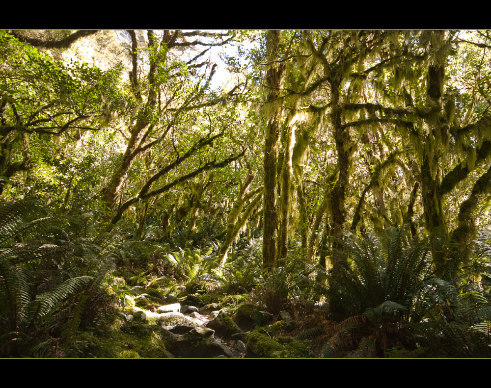 Milford Track