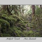 Milford Track 1