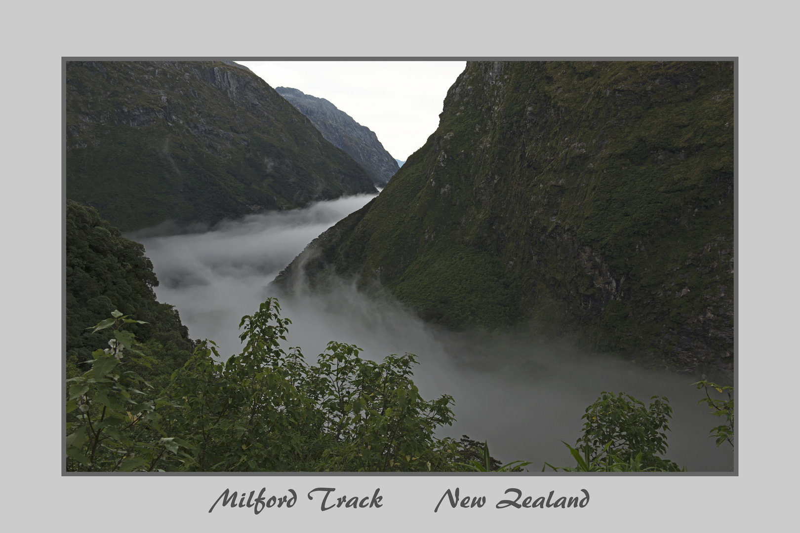 Milford Track