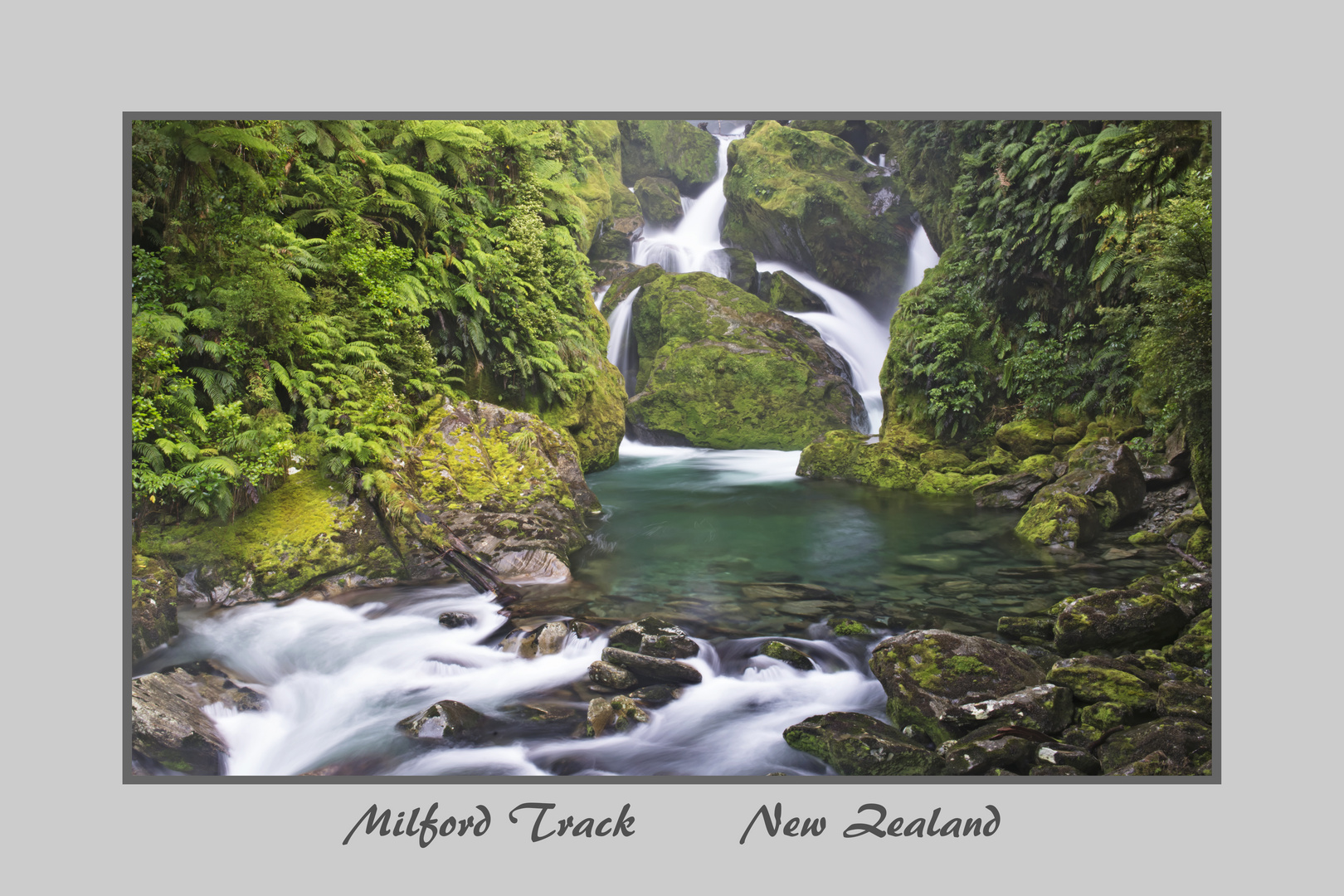 Milford Track 4