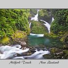 Milford Track 4