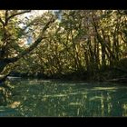 Milford Track