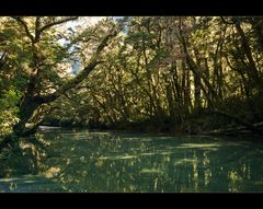 Milford Track