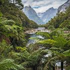 Milford Track