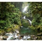 Milford Track, Fiordland