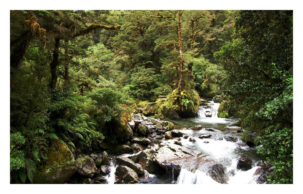 Milford Track, Fiordland