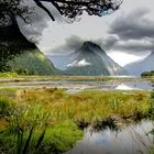 Milfordsound in Neuseeland