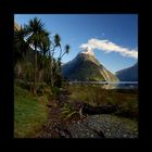 ___milford_sound_#12___