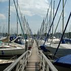 Milionenschlucht am Bodensee