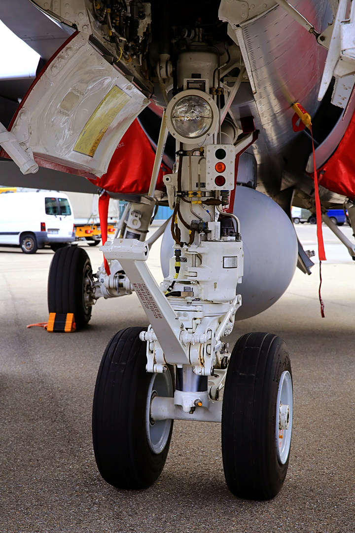 Militärflugplatz - Meiringen - Luftwaffe - F/A-18 - Bugfahrwerk