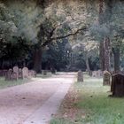 Militärfriedhof Münster Nord