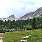 Militärübung im Nationalpark