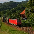 Militärzug an idyllischem Bauernhof