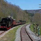 Militärzug auf der Sauschwänzlebahn