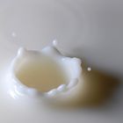 Milk Splash 2