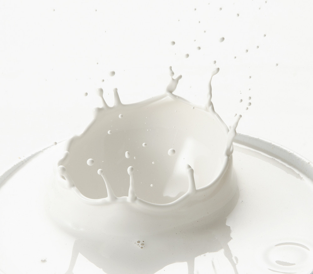 MILK SPLASH photo & image | still life, food, subjects images at photo