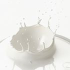 MILK SPLASH