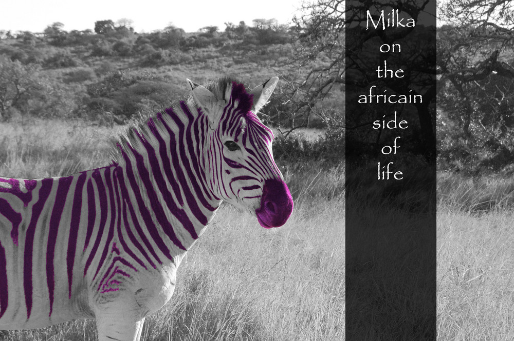 milka on the africain side of life