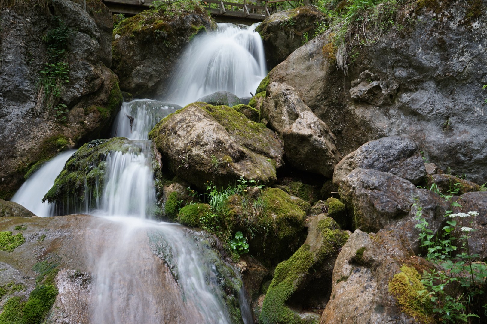 Milky water