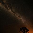 ~ MILKY WAY im QUIVER TREE FOREST II ~ 