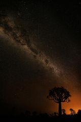 ~ MILKY WAY im QUIVER TREE FOREST II ~ 