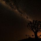 ~ MILKY WAY im QUIVER TREE FOREST III ~ 