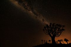 ~ MILKY WAY im QUIVER TREE FOREST III ~ 