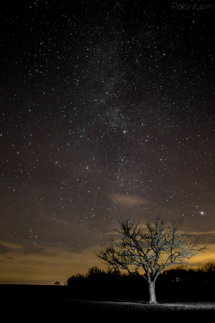 Milky Way over Cherry Tree