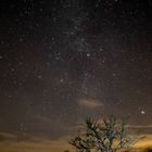 Milky Way over Cherry Tree