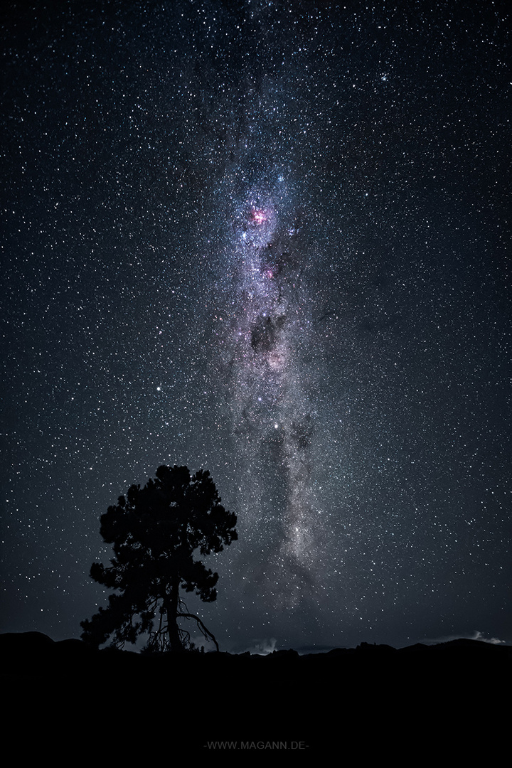 milky way tree