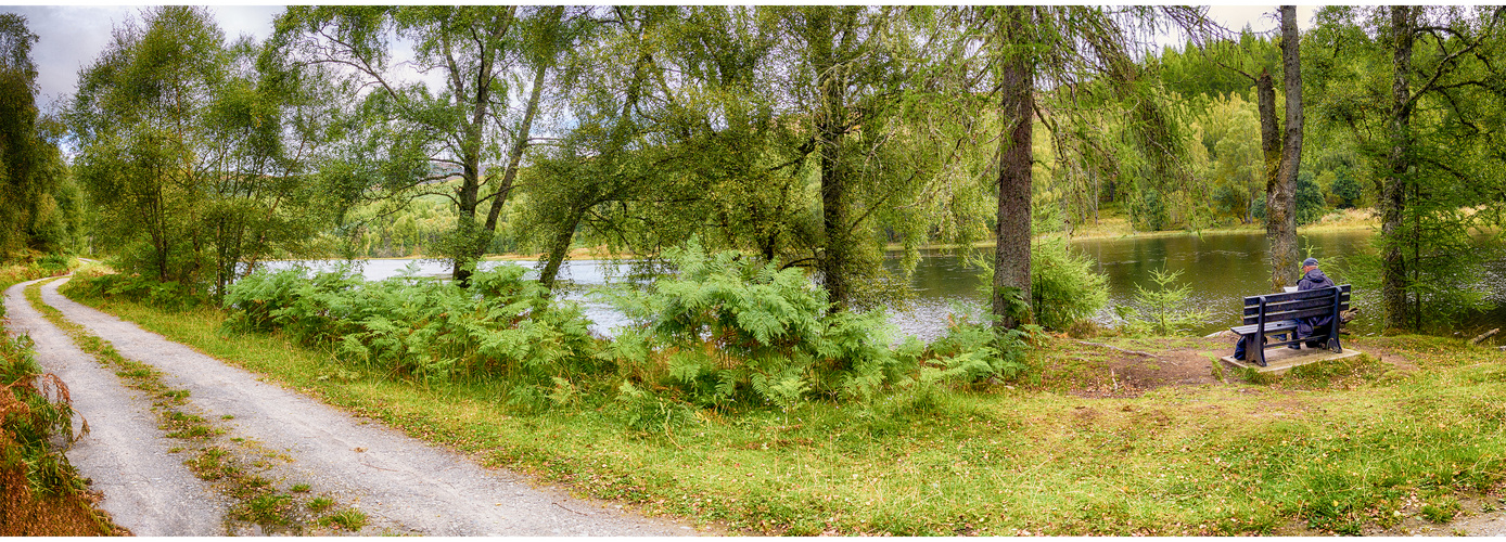 Mill Dam Panorama