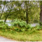 Mill Dam Panorama