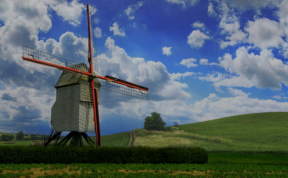 Mill in Flanders fields