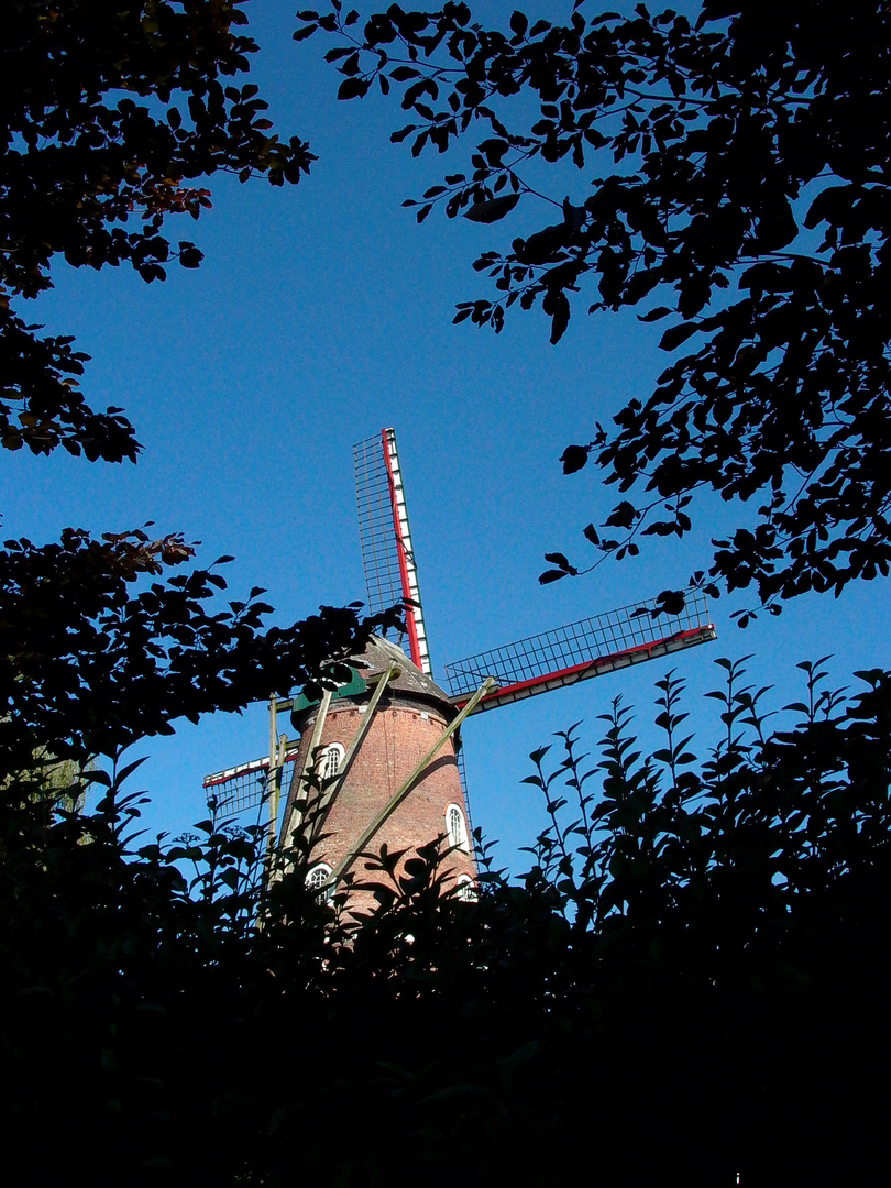 mill Sint-Pauwels 1